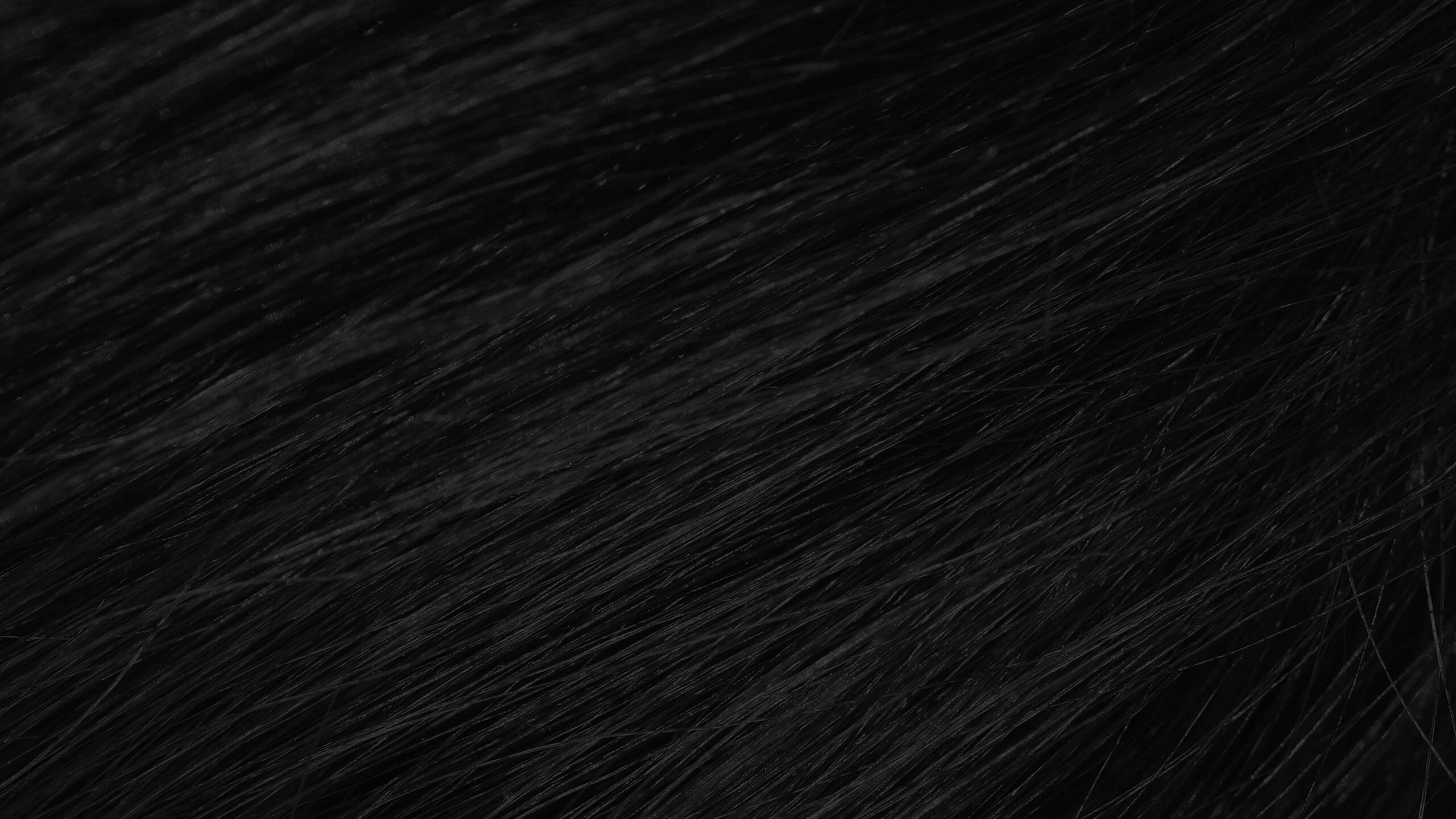 BOB All Inclusive Membership at B.O.B Salons, Bracknell